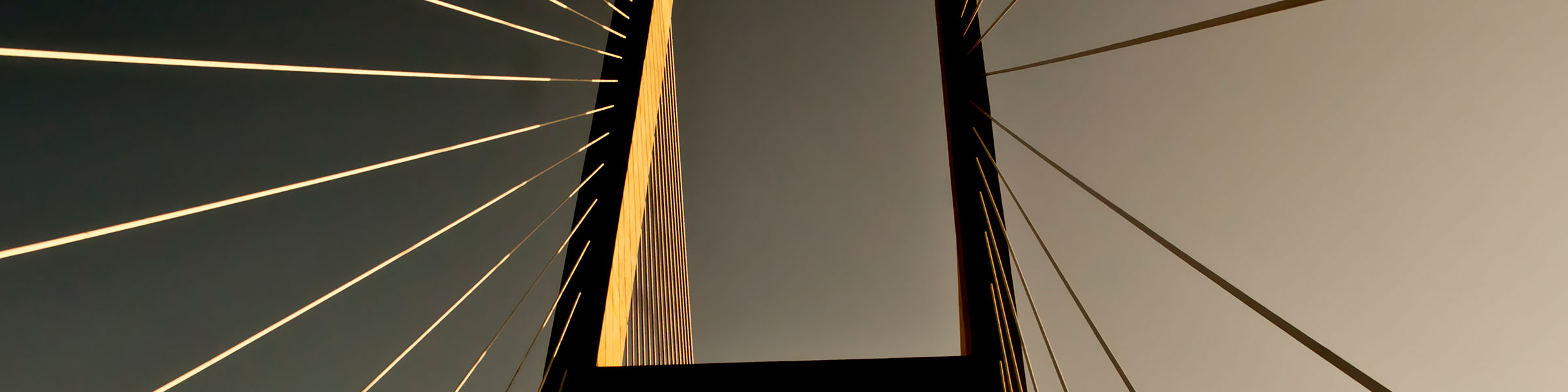 Featured image of post MUSIC 256